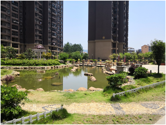 选择世纪星城,让孩子多睡半个小时-京山楼市资讯_京山楼市动态-京山